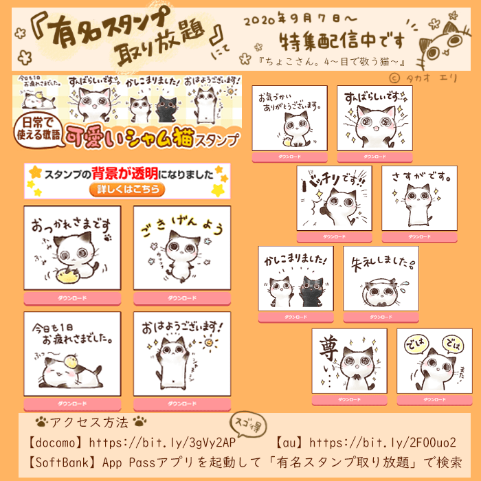 有名スタンプ取り放題 特集配信 ちょこさん 4 目で敬う猫 イラストレーター タカオエリ イラスト制作 大阪 かわいい 癒やし 猫 こども 家族 ファミリー 動物 児童書 参考書 絵本 挿絵 Hoccori イラストレーター タカオエリ Websaite 動物 こども ほっこり