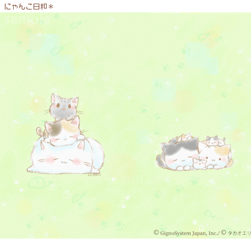 にゃんこ日和